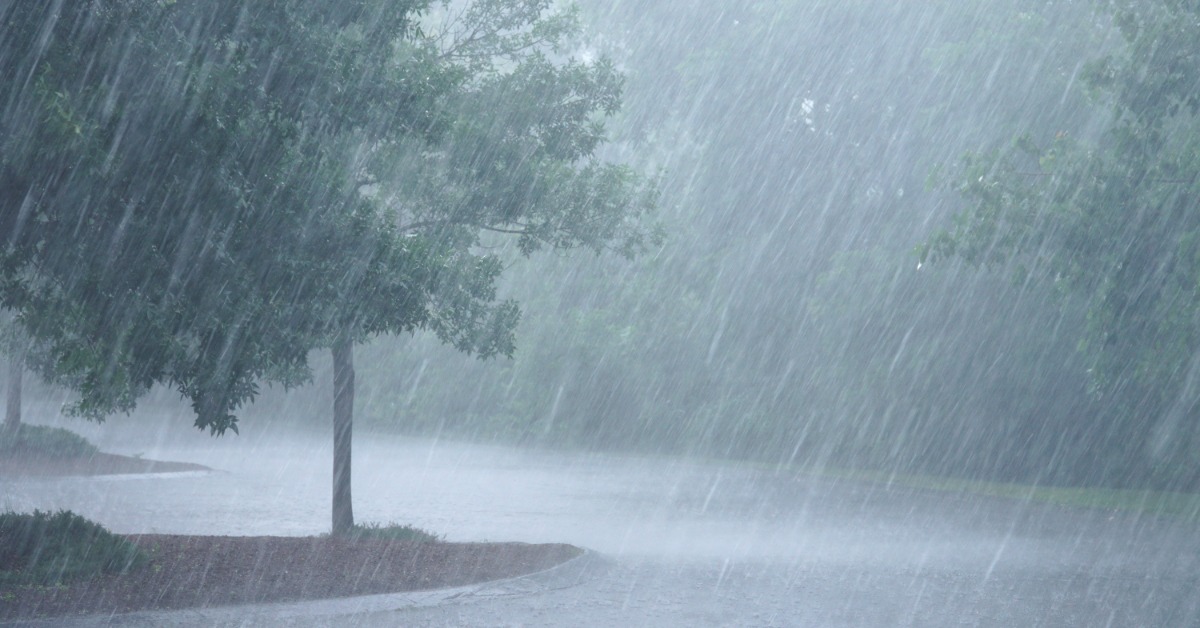 Heavy rain falling across trees and a wet parking lot with standing water and blurred greenery in the background.
