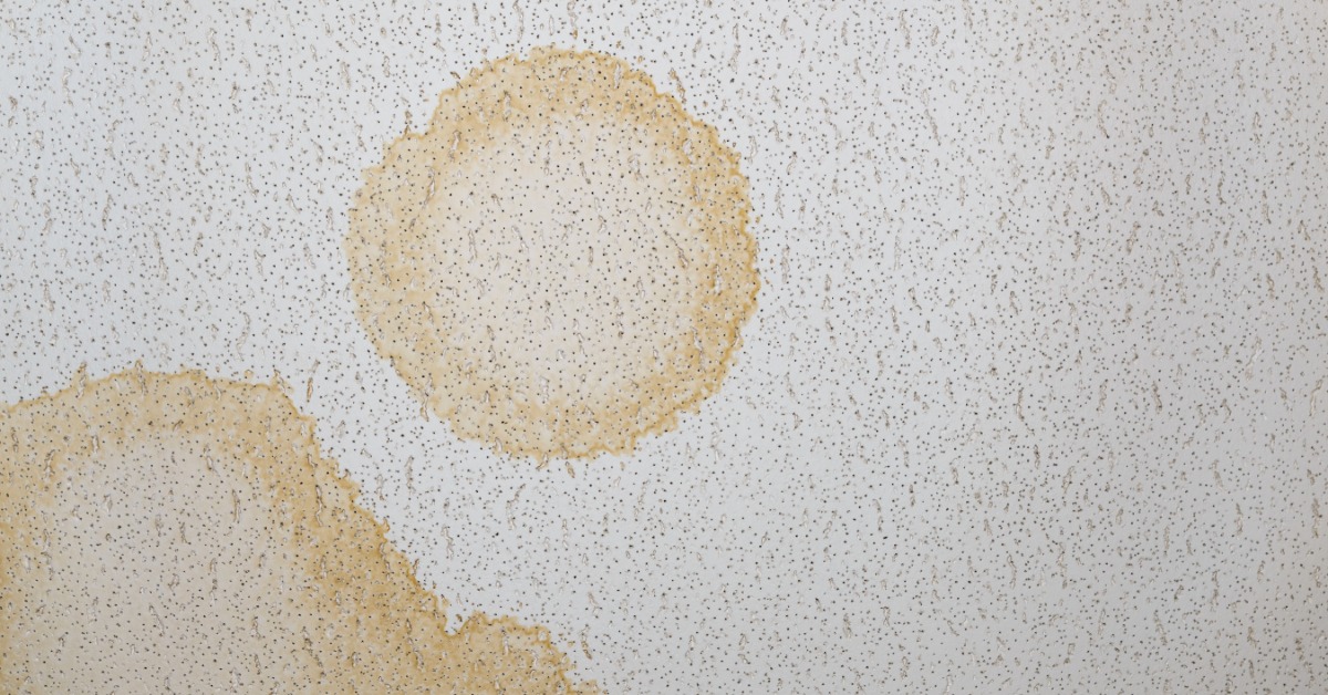 A textured ceiling tile with brown circular stains and speckled marks spread across the white surface.
